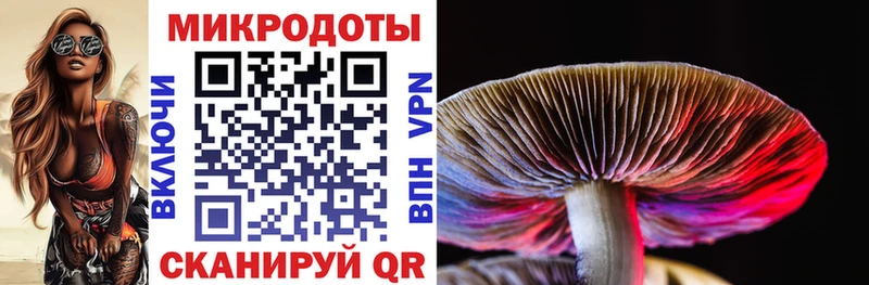 Псилоцибиновые грибы GOLDEN TEACHER  Буй 